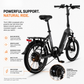 PACTO E-ONE - Electric Folding Bike - 20 inch - Shimano 7 Speed Derailleur - Low entry Frame - Black